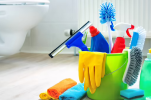 Messie Reinigung Eberswalde